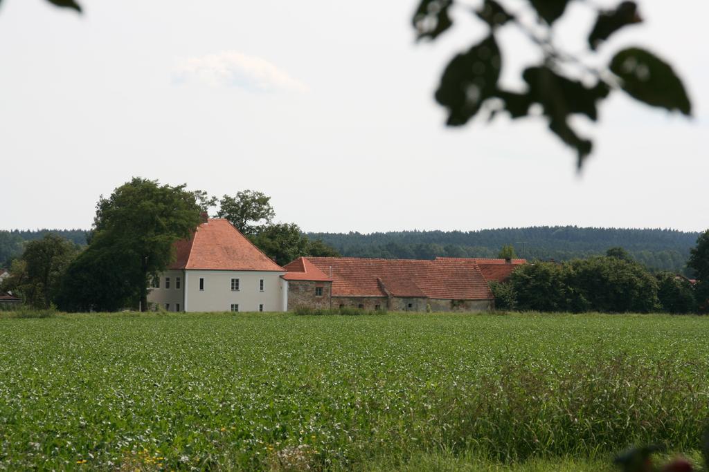 Historischer Pfarrhof Niederleierndorf Langquaid Номер фото