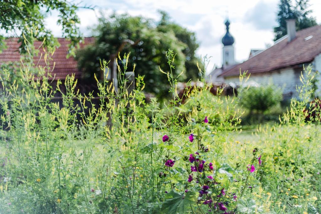 Historischer Pfarrhof Niederleierndorf Langquaid Экстерьер фото